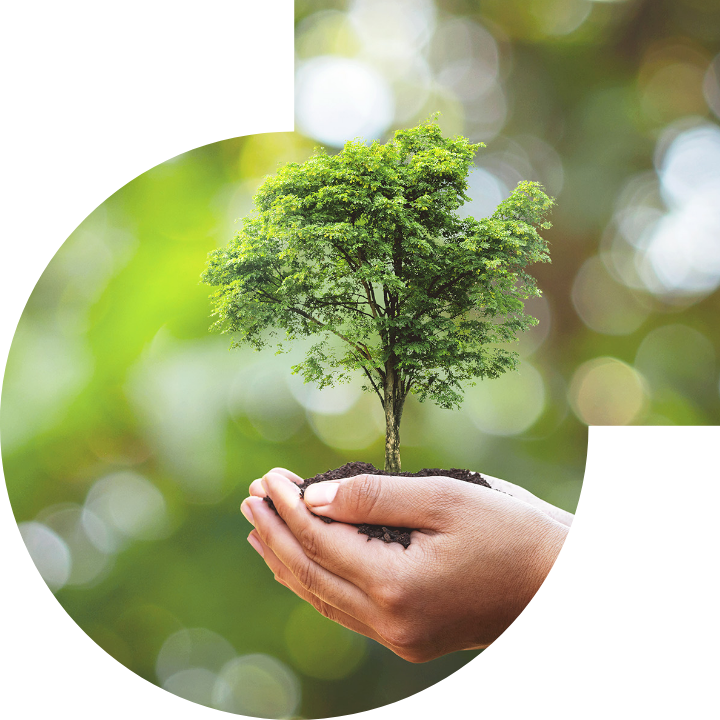 關懷人類、文化、環境與社會